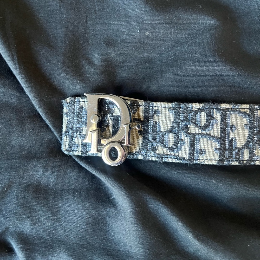 Dior Belt Monogram Logo Print